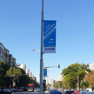 Steagurile Direcționale by Eko Group