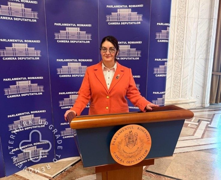 Deputata Mariana Vârgă: Pacea Europei, Fundamentul Securității României 1 Deputata Mariana Vârgă: Pacea Europei, Fundamentul Securității României